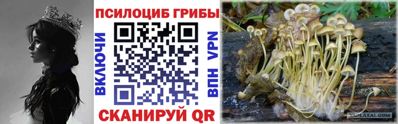 Галлюциногенные грибы Magic Shrooms  Асино 